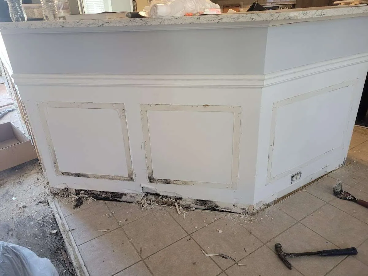 Water damage and mold on kitchen during Storm Damage Restoration in Berkeley